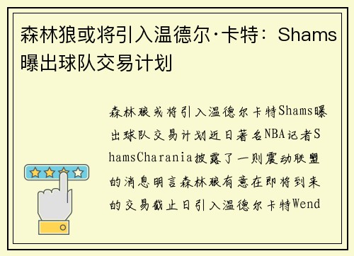 森林狼或将引入温德尔·卡特：Shams曝出球队交易计划