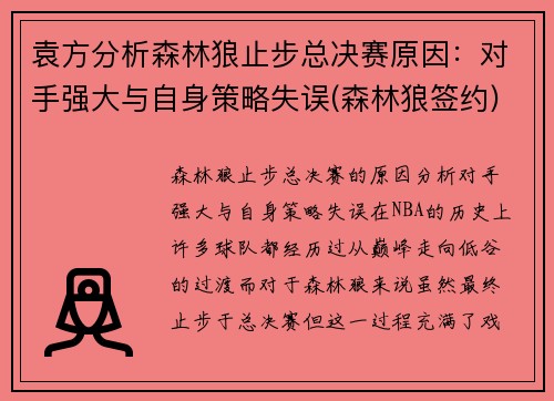 袁方分析森林狼止步总决赛原因：对手强大与自身策略失误(森林狼签约)