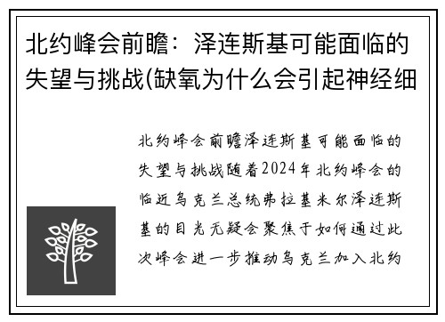 北约峰会前瞻：泽连斯基可能面临的失望与挑战(缺氧为什么会引起神经细胞兴奋性降低)